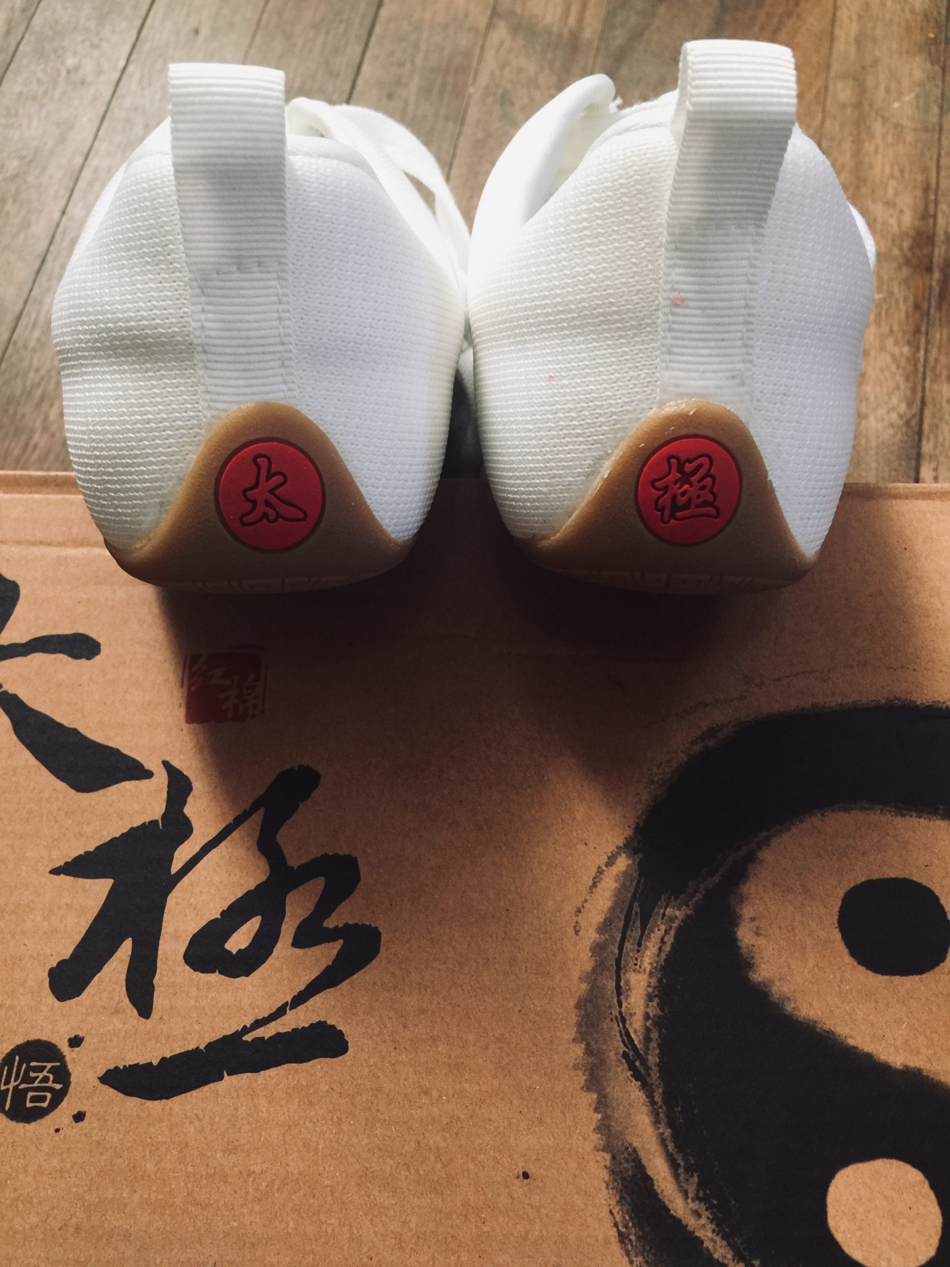 Spiral "Tai Ji Quan" Shoes