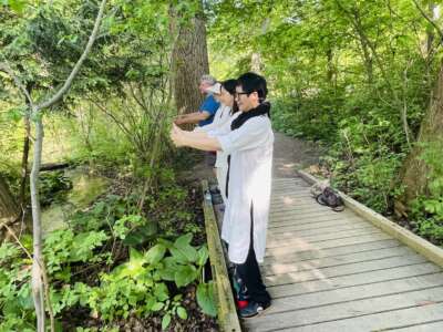 Taiji Qi Yoga Group Retreat with Ping Lu (Sat & Sun) - Image 2