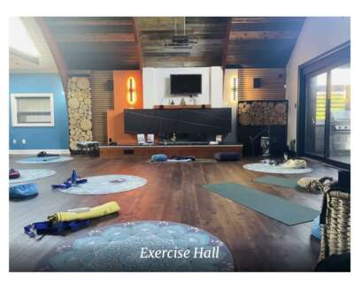 Taiji Qi Yoga Group Retreat with Ping Lu (M-F) - Image 2