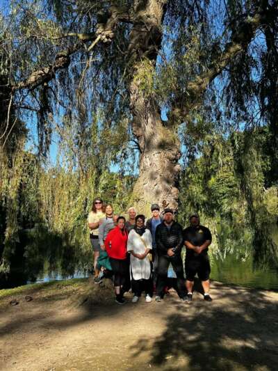 Sacred Energy Arts Retreat with Matthew Cohen Oct 1st to Oct 5th, 2025 - Image 5