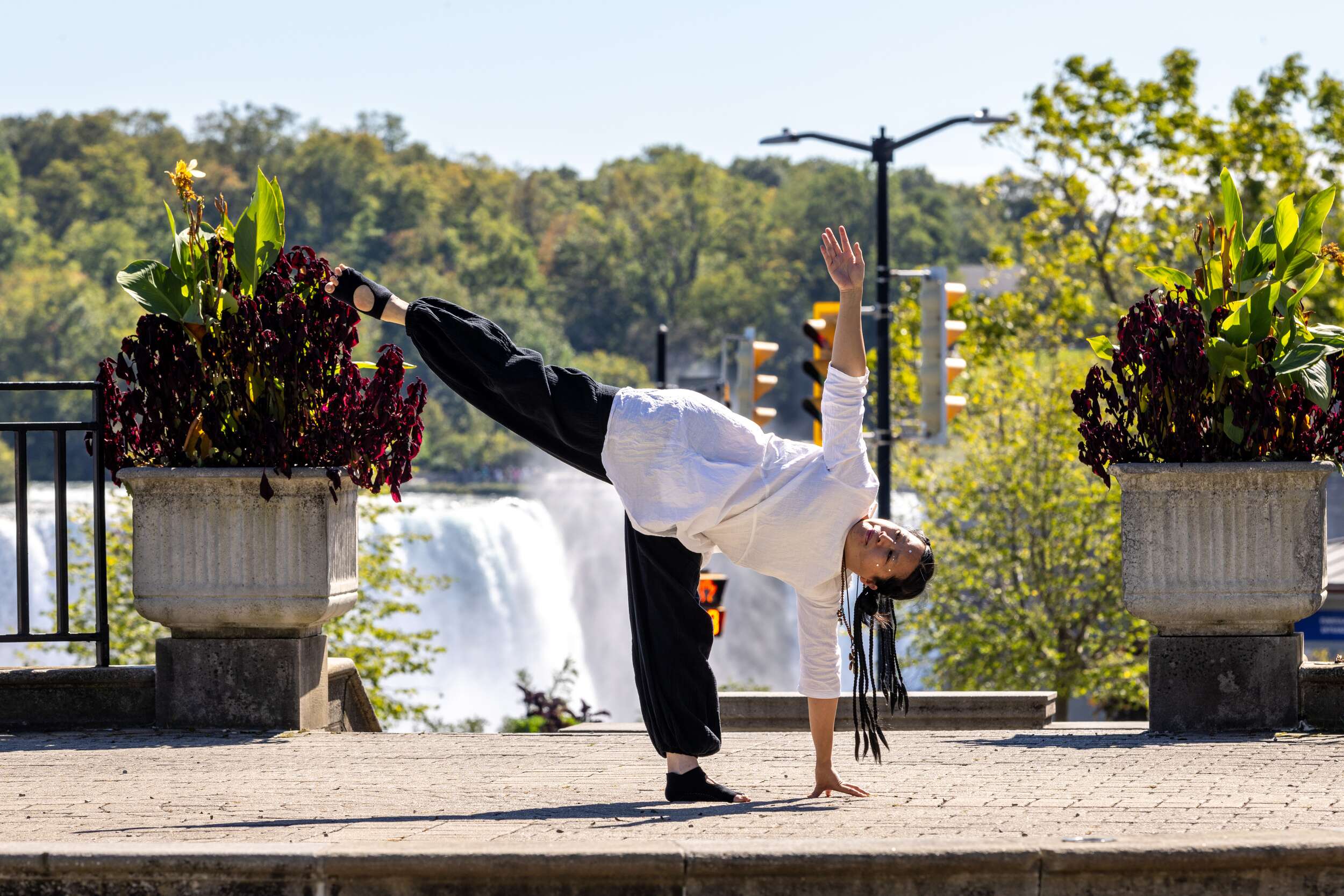 1 Hr Group Session with Ping Lu - Image 4