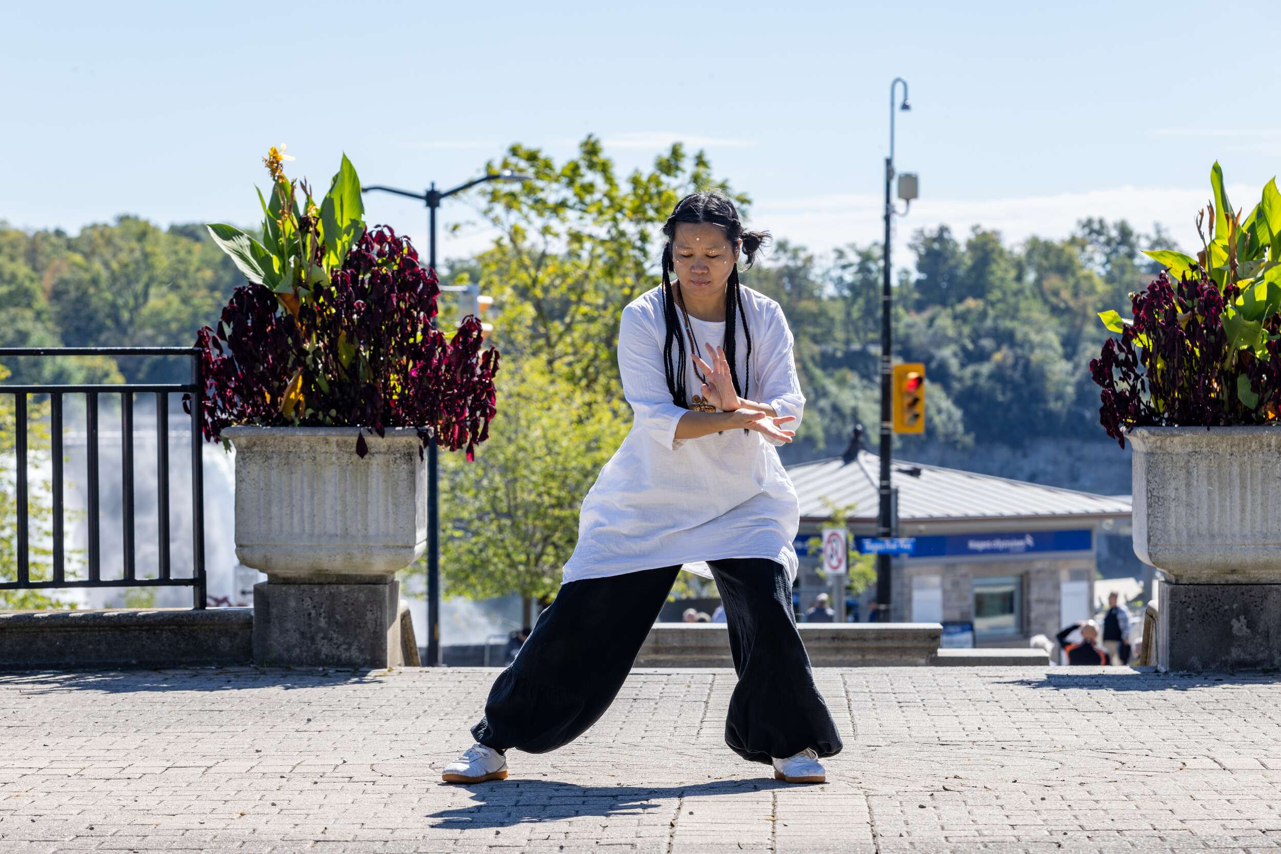1 Hr Group Session with Ping Lu - Image 7