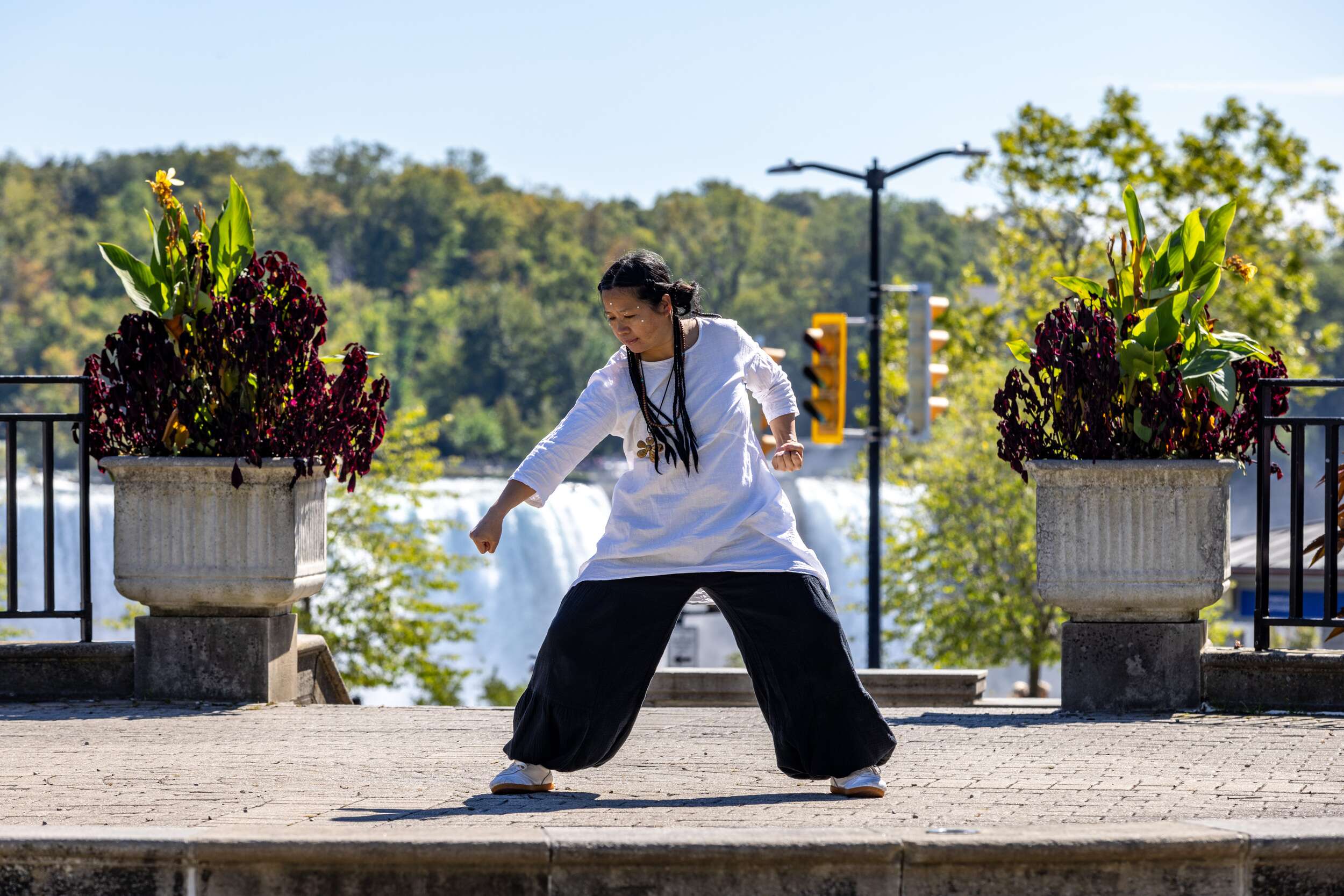 1 Hr Group Session with Ping Lu - Image 8