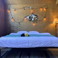 G01-Garden King Room