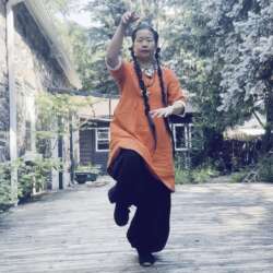 Chen's Tai Chi Essential 18 for Health and Wellness-5 Days Immersion Group Retreat